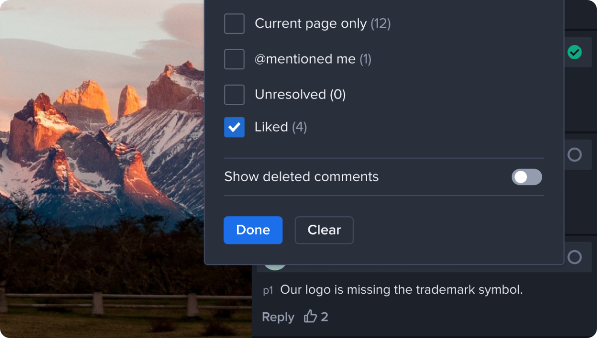 Filtering by liked comments - Liked option ticked in a proof viewer