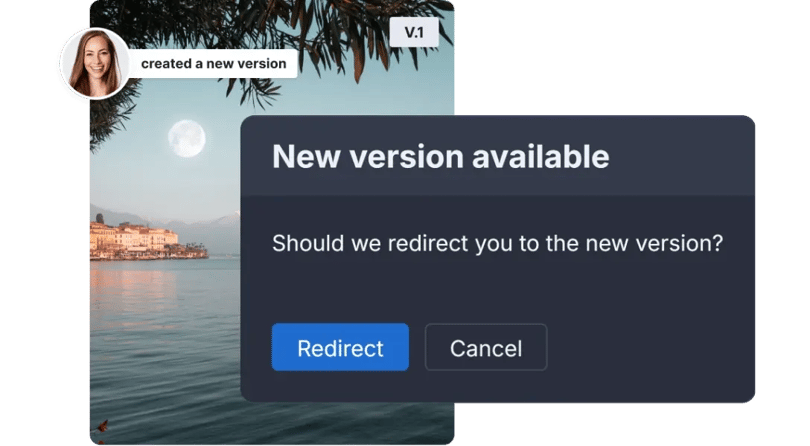 Tracking and management - Rigid version access